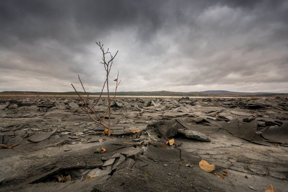 Photograph by Жданов Дмитрий