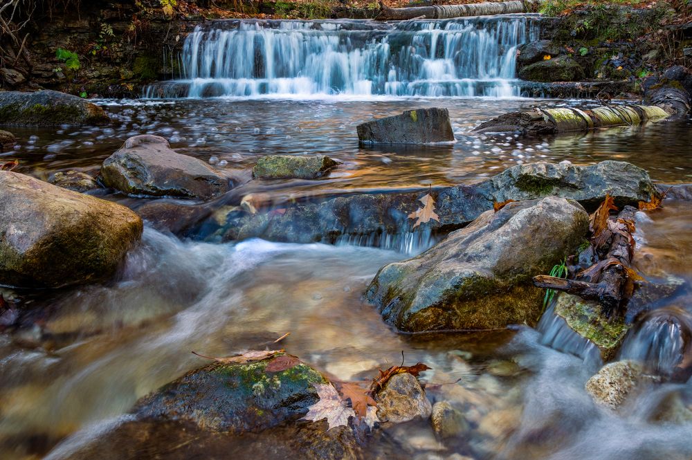 Photograph by Greg Noakes