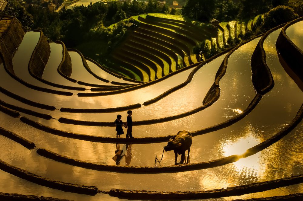 Golden sunset falls on my hometown