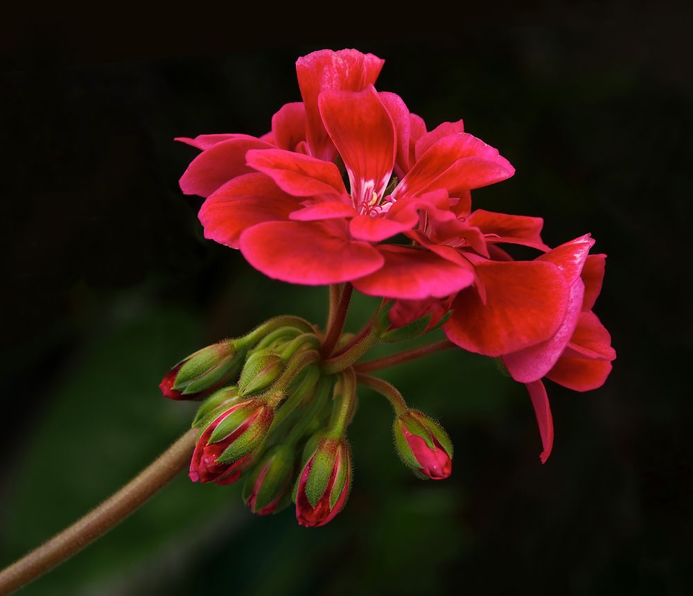 Photograph by Илфир Исламгазин