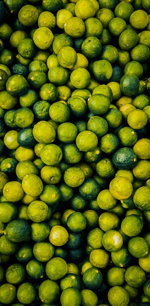 Photograph by Ranjith Rk