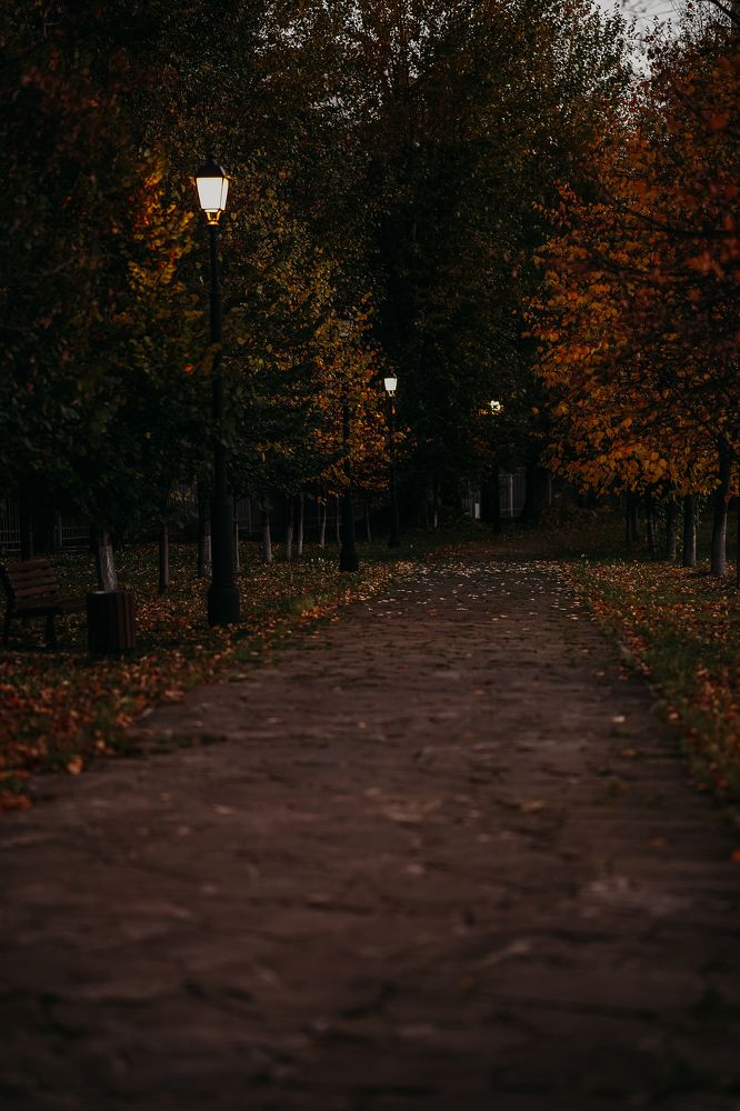 Photograph by Анастасия Исаичева