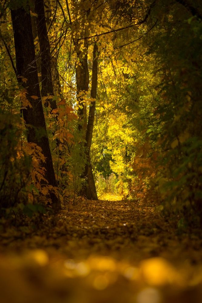 Photograph by Жданов Дмитрий