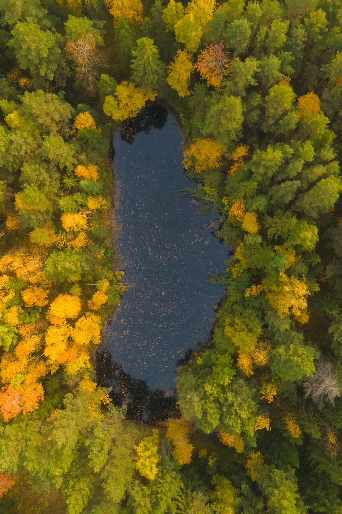 Photograph by Жданов Дмитрий