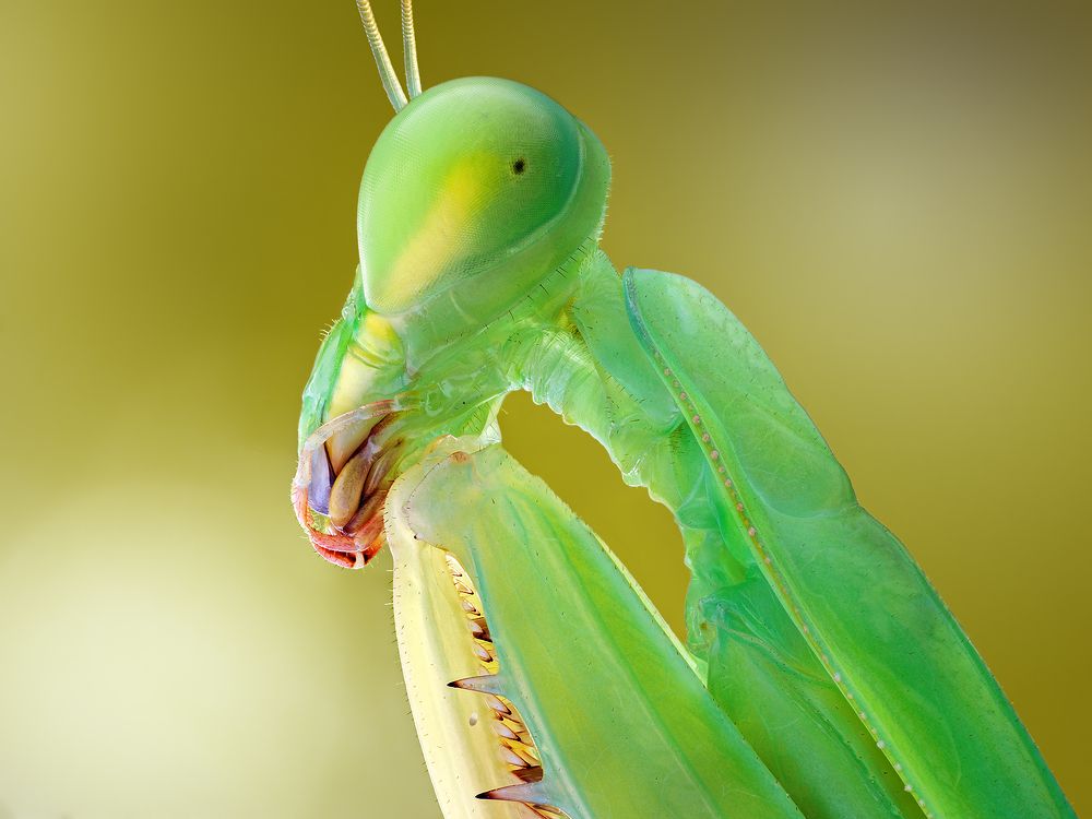 Photograph by Ireneusz Irass Walędzik