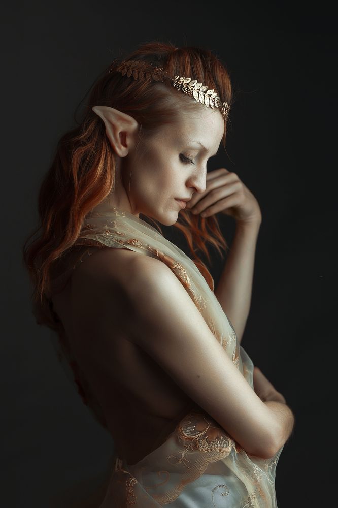 Фотография автора Гришин Николай