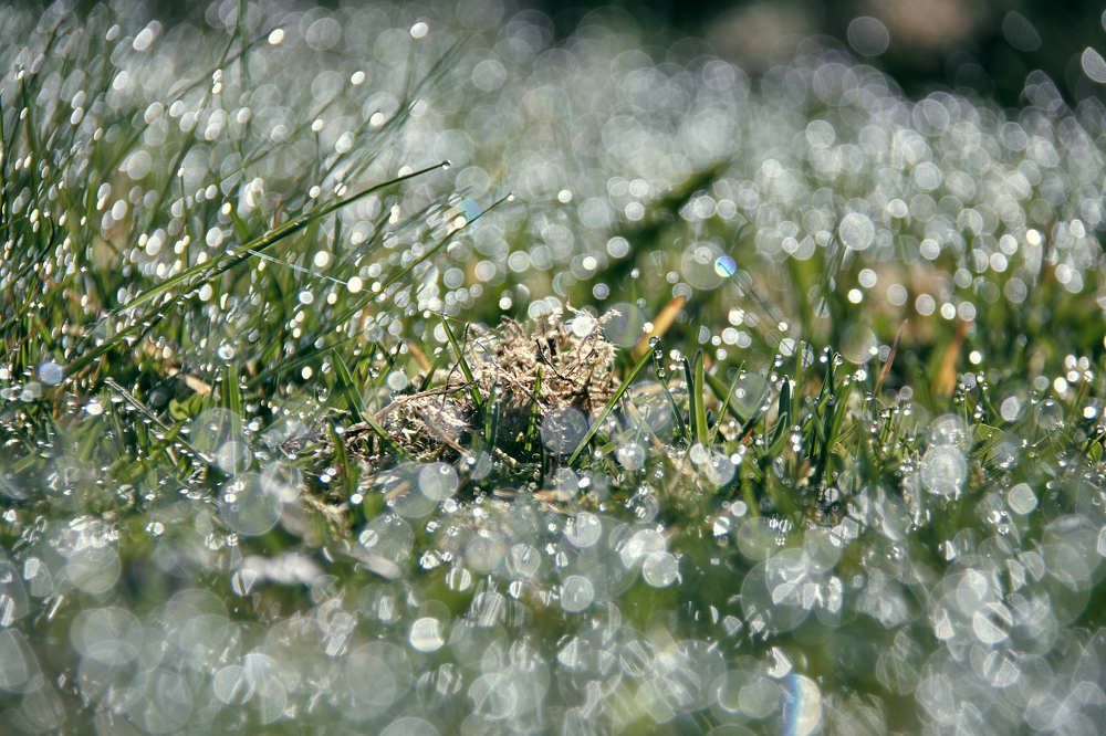 Photograph by Алексей Гунёв