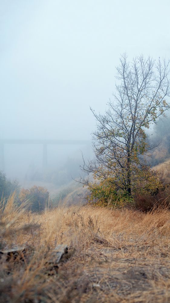 Photograph by Сергей Почевалов