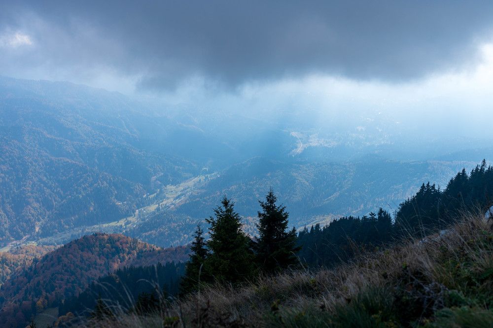 Photograph by Виктория Бурова