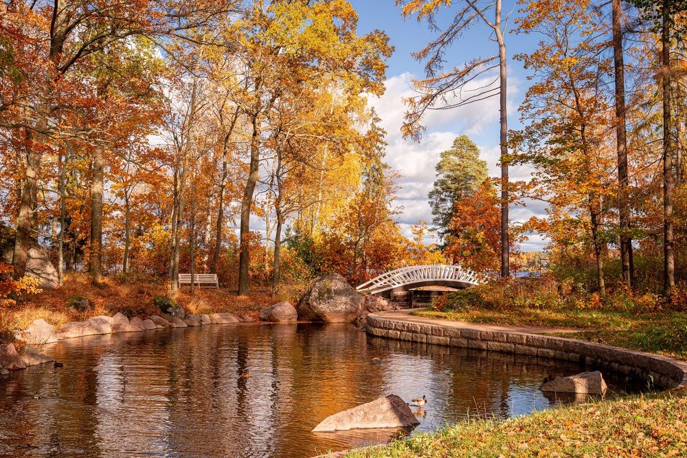 Photograph by Алена Устинович