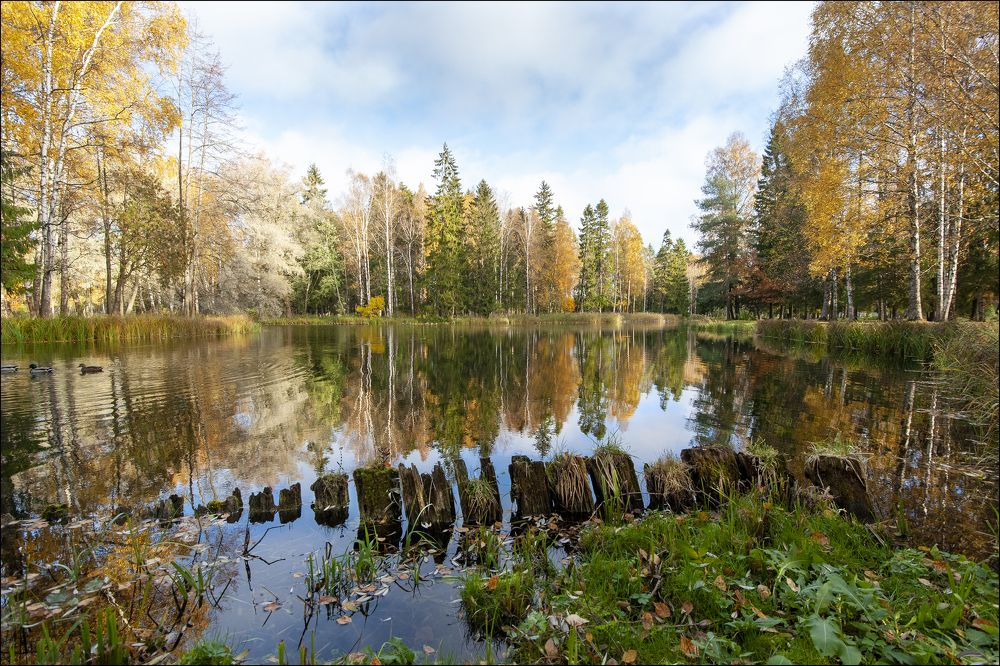 Photograph by Георгий Сапожников