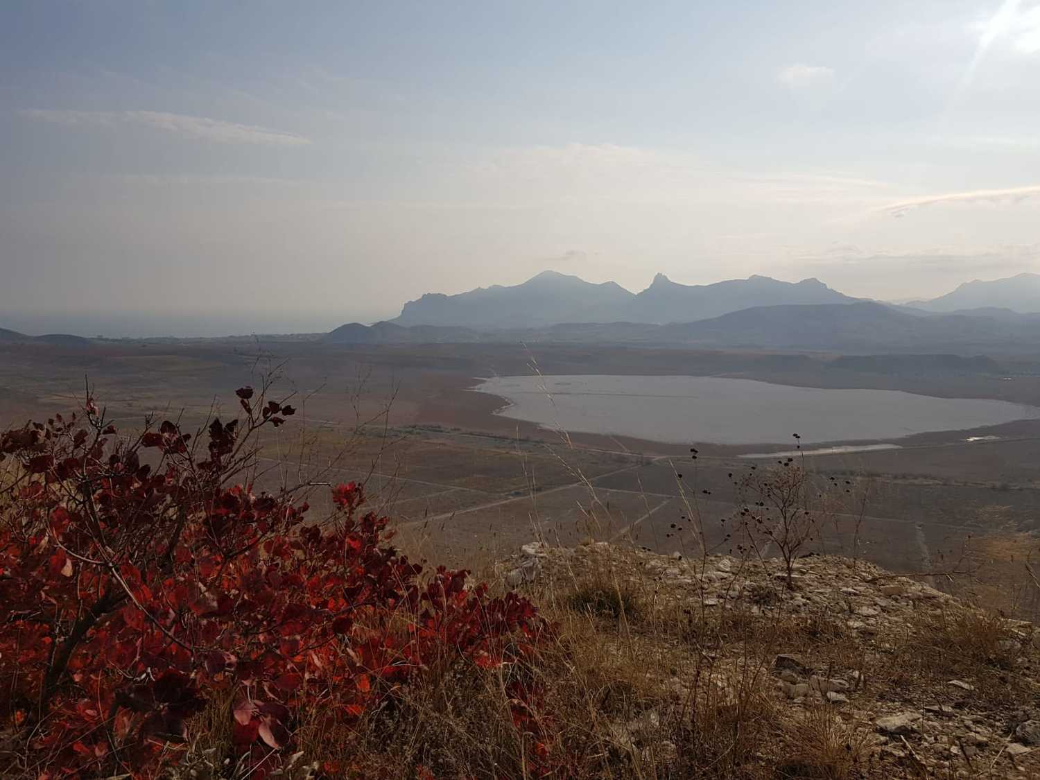Photo #8175571