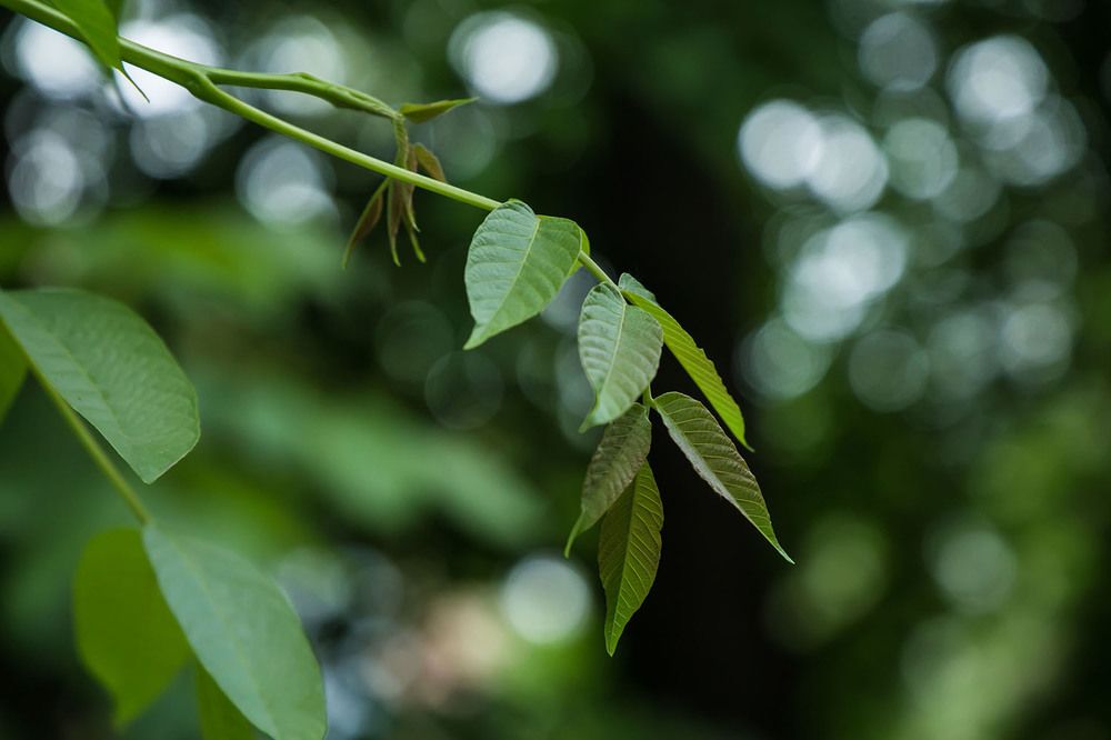 Photograph by Екатерина Сахно