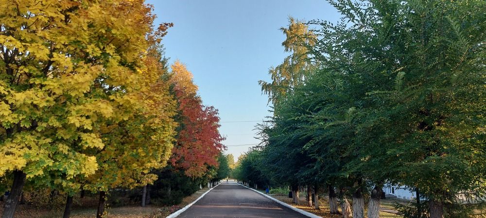 Photograph by Алена Марченко