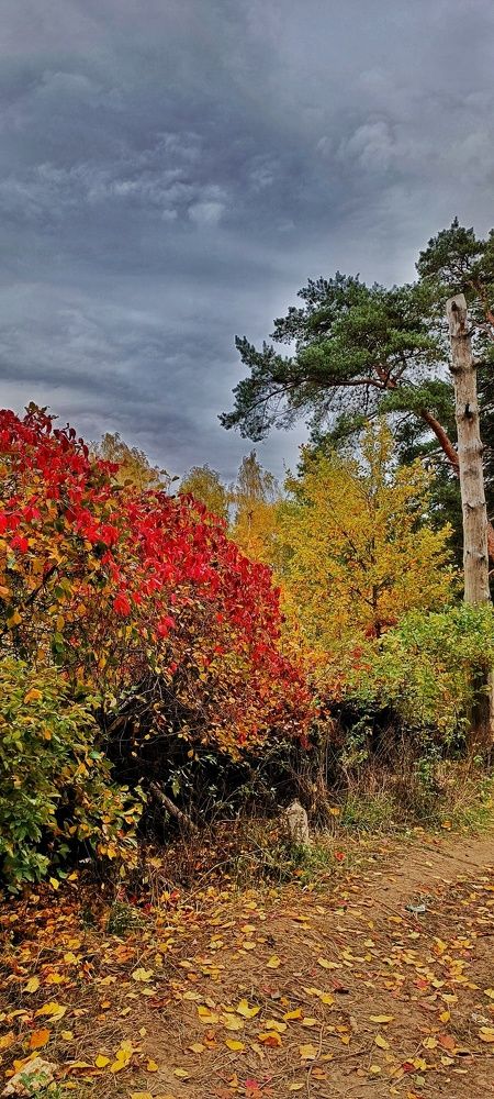 Photograph by Ксения