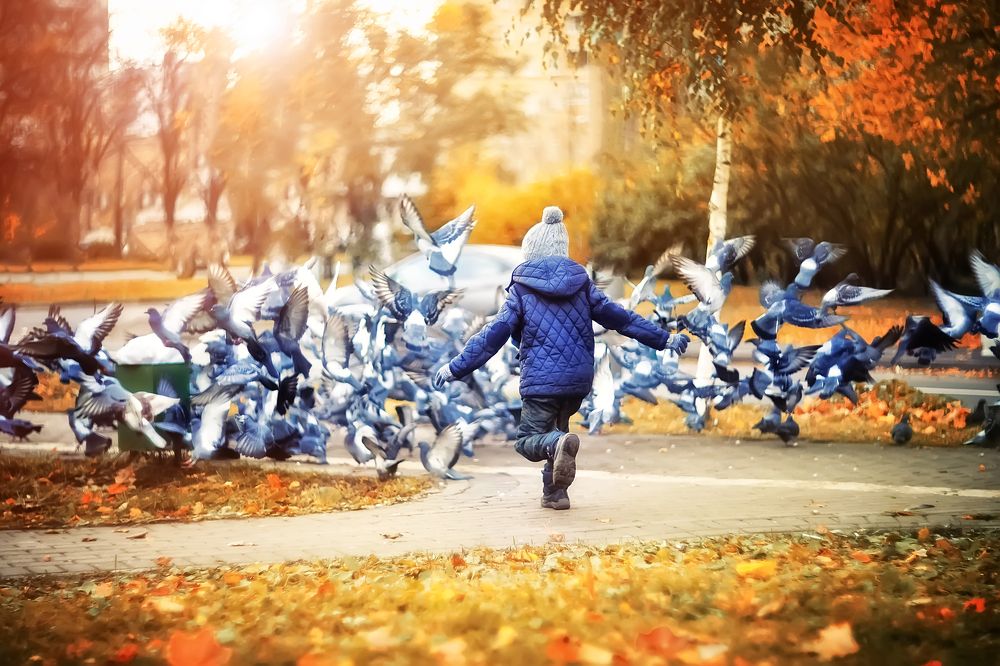 Photograph by Ксения Базарова