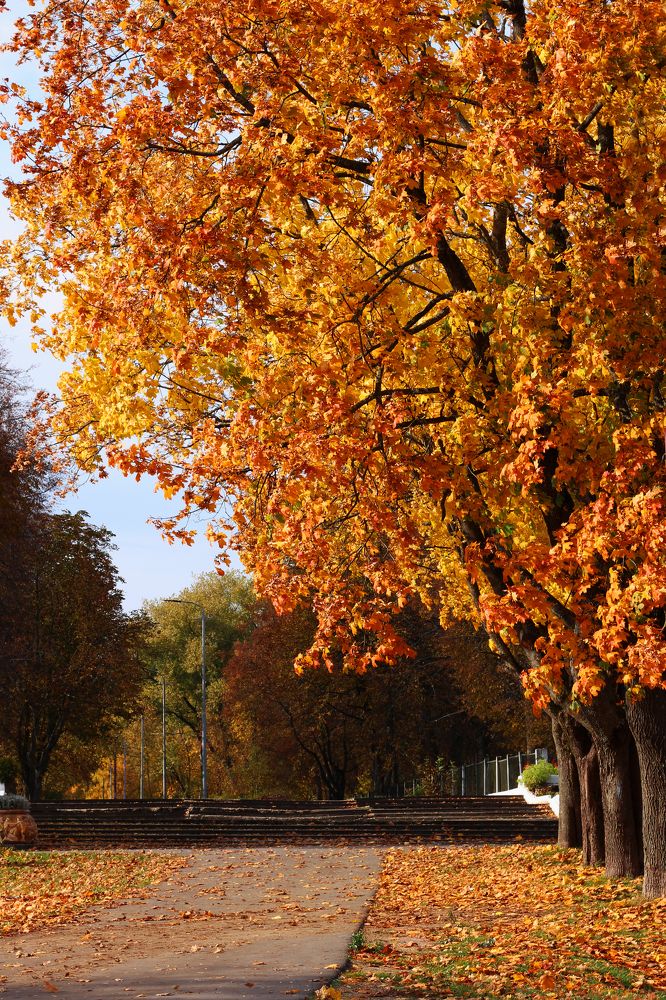 Photograph by Евгений Белов