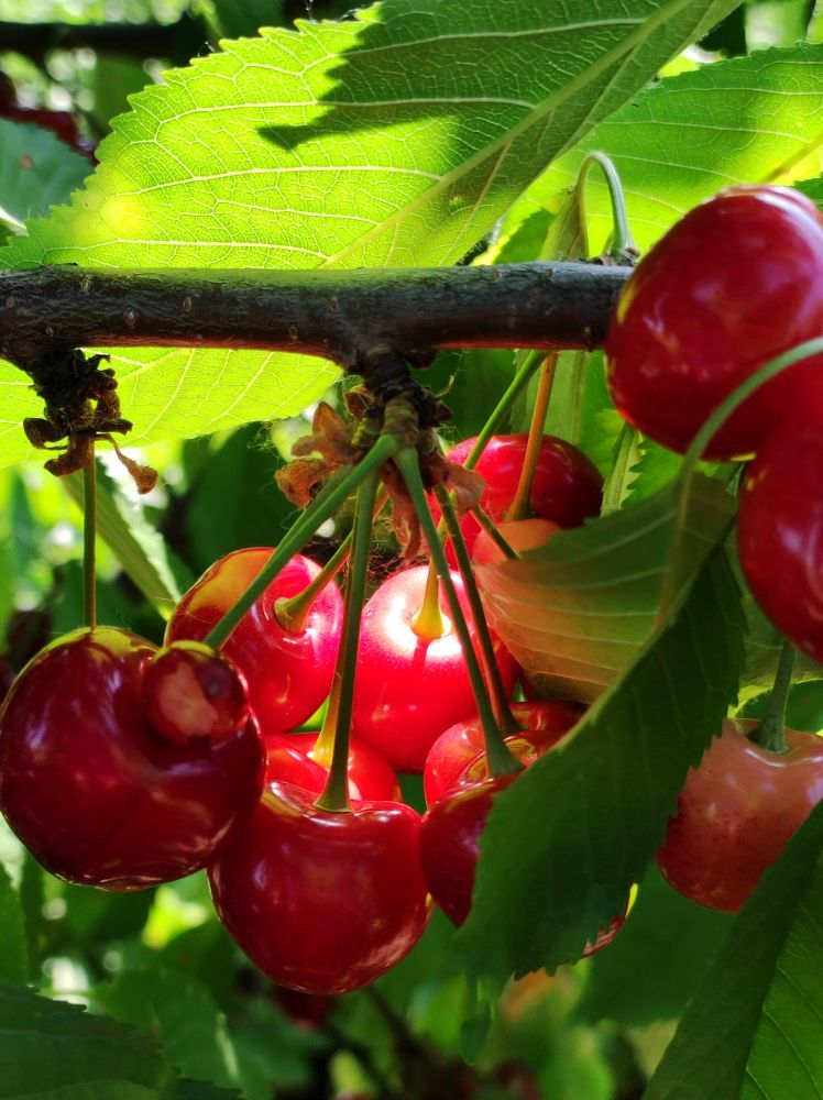 Photograph by Надежда Батракова