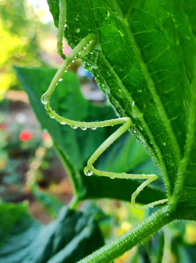 Photograph by Надежда Батракова