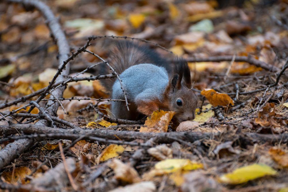 Фотография автора Войнов Дмитрий