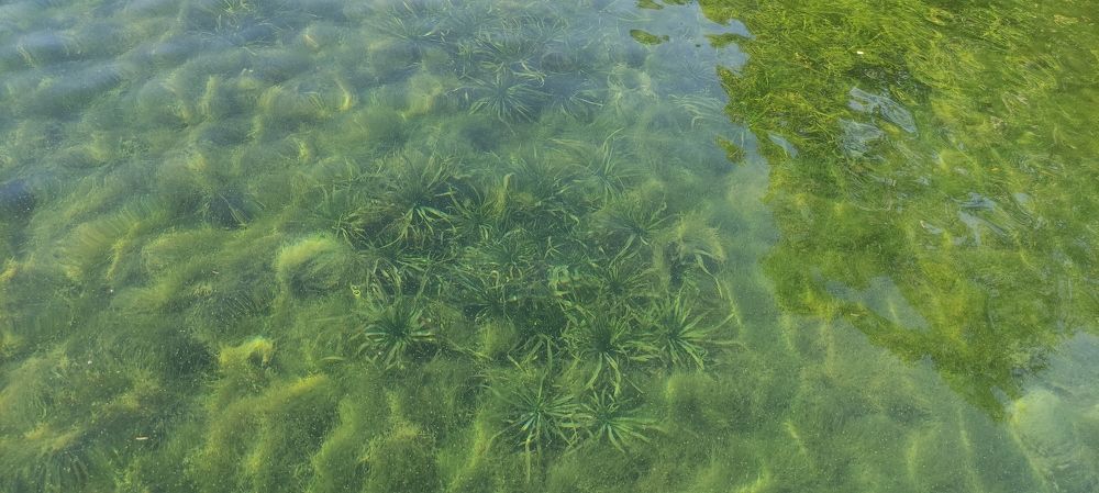 Photograph by Алена Марченко