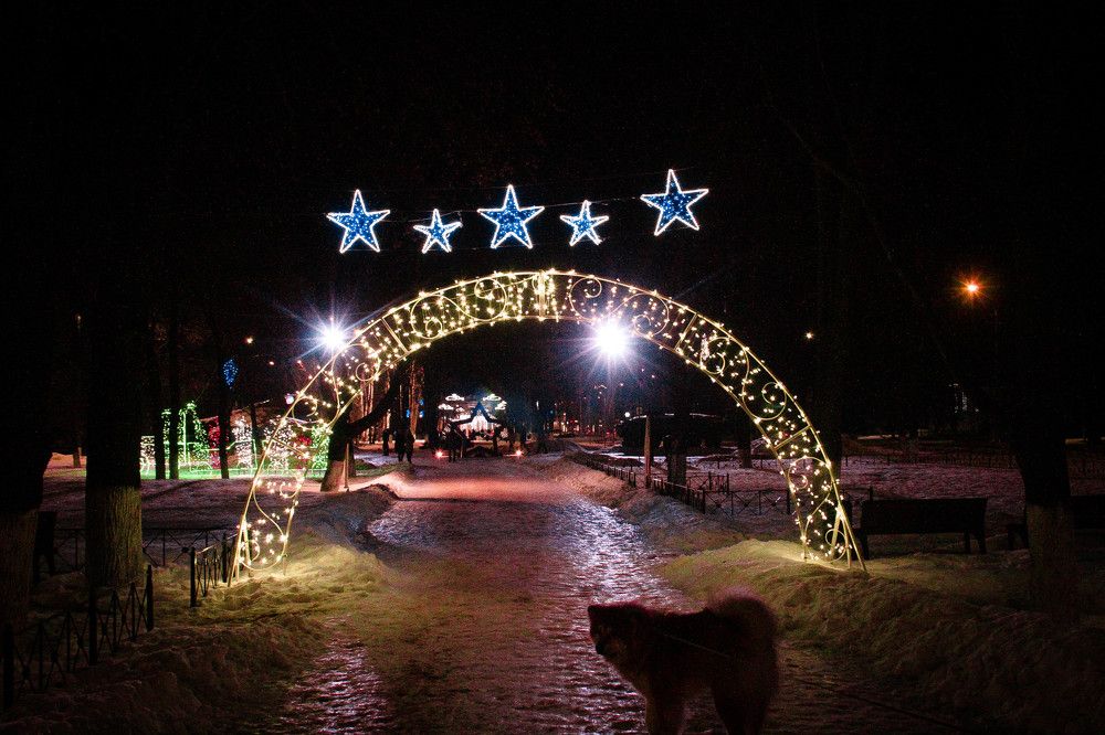 Фотография автора Миша Тараниченко