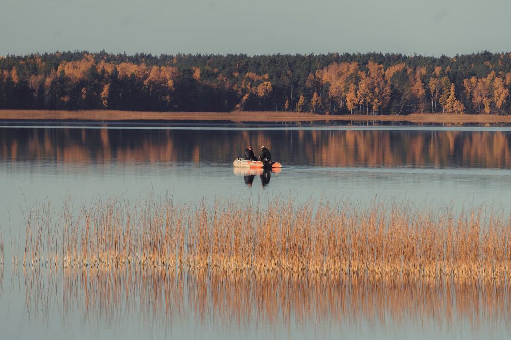 Фотография автора Макс Светличный
