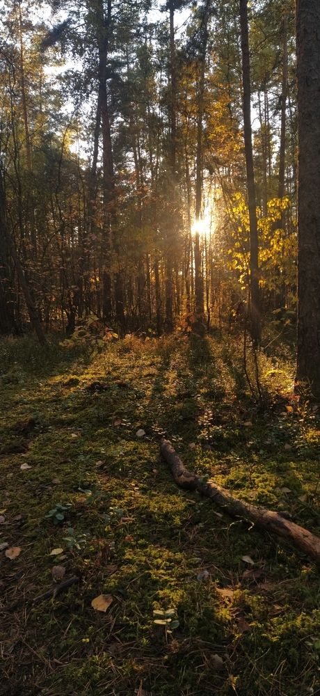 Photograph by Александра Храмцова