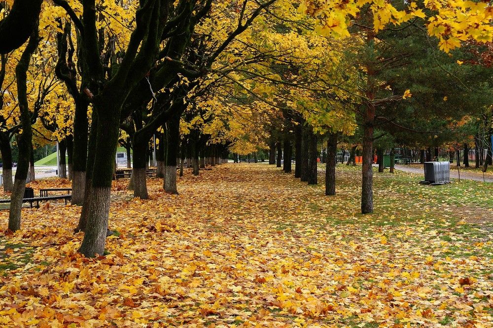 Фотография автора Геннадий Титов