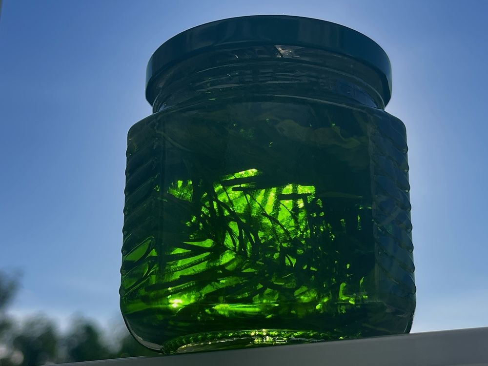 Photograph by Лыжин Григорий