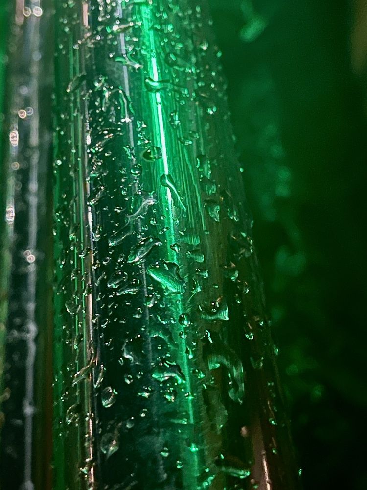 Photograph by Лыжин Григорий