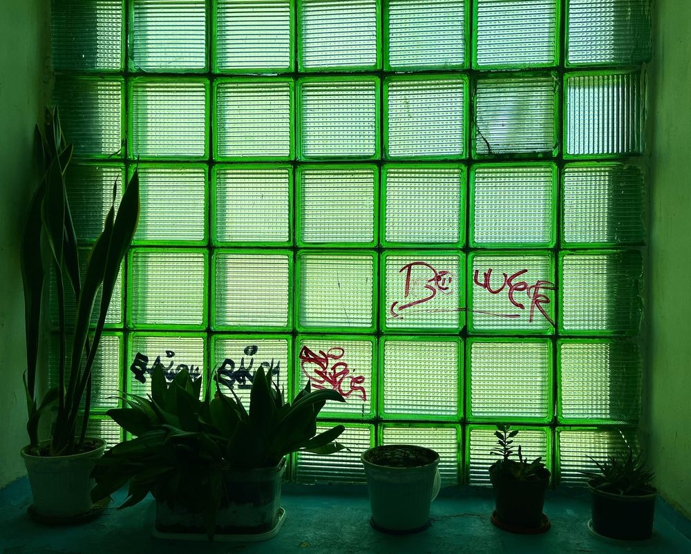 Photograph by Лыжин Григорий