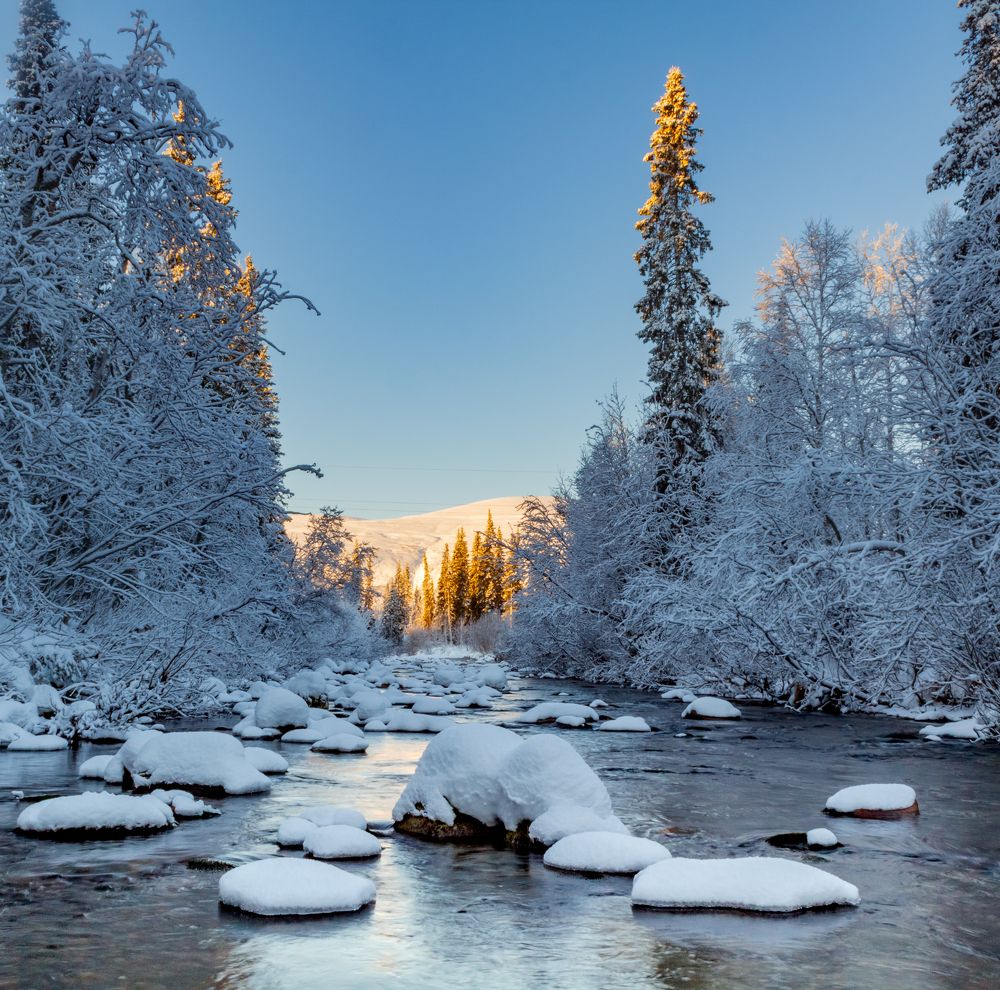 Photograph by Ирина Крепак