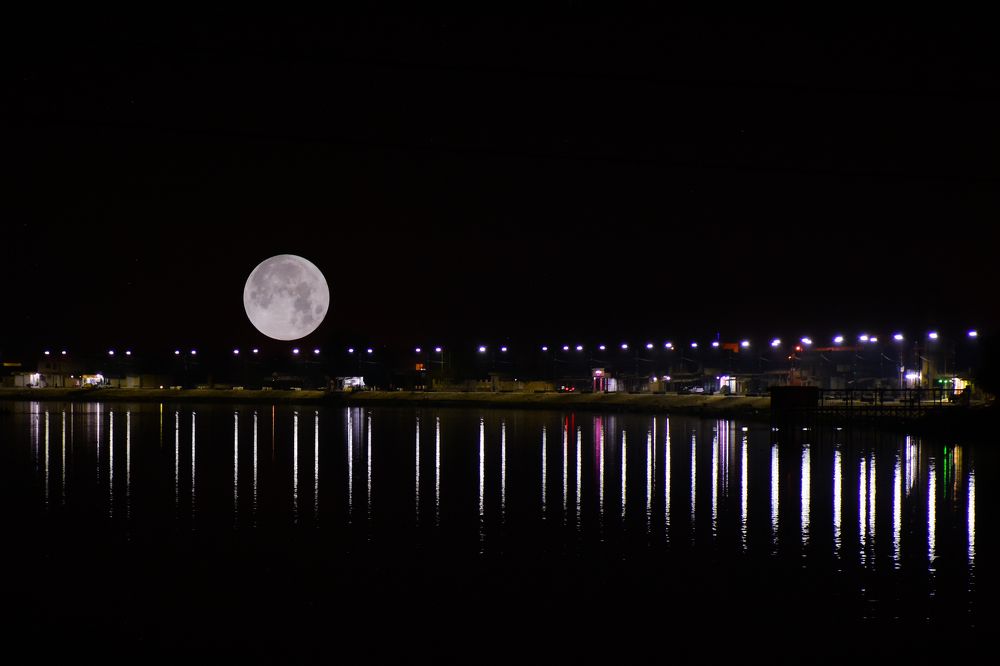 Photograph by Montadher AL-waeil