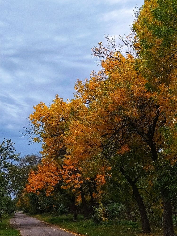 Осень рисует красками...