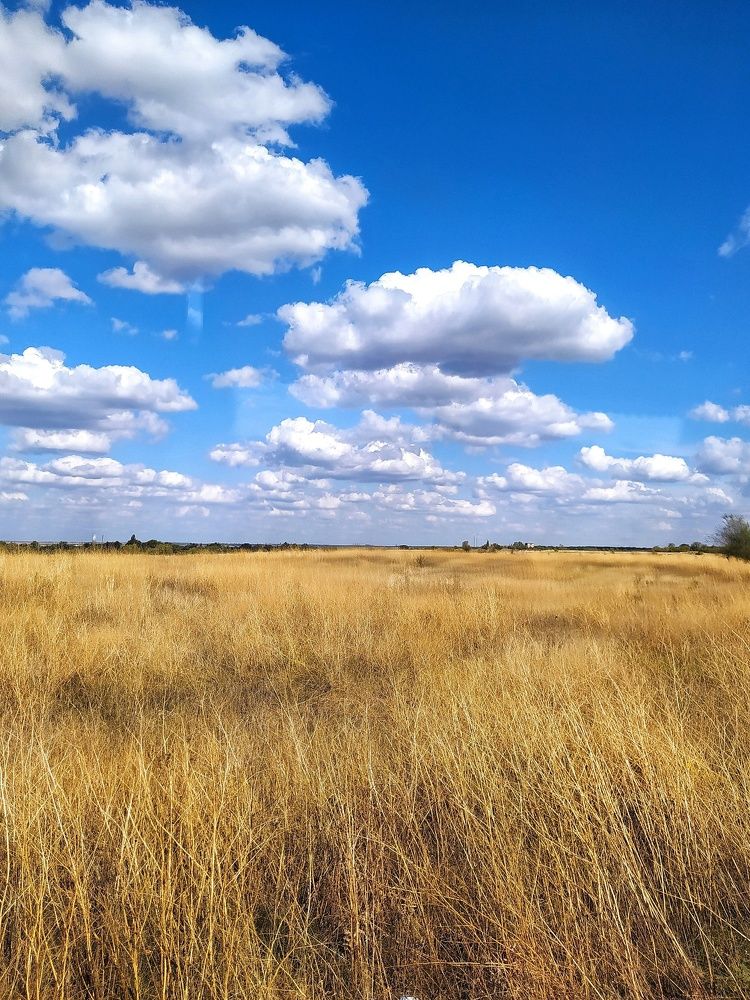 Родные просторы...Облака...