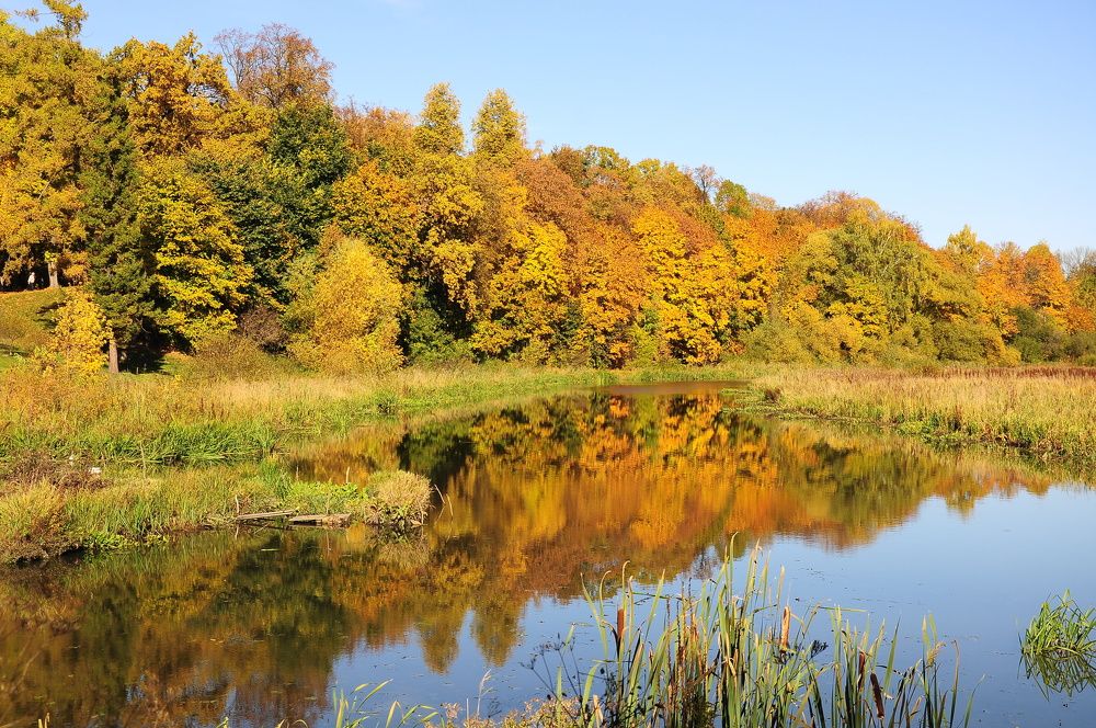 Исчезнувший