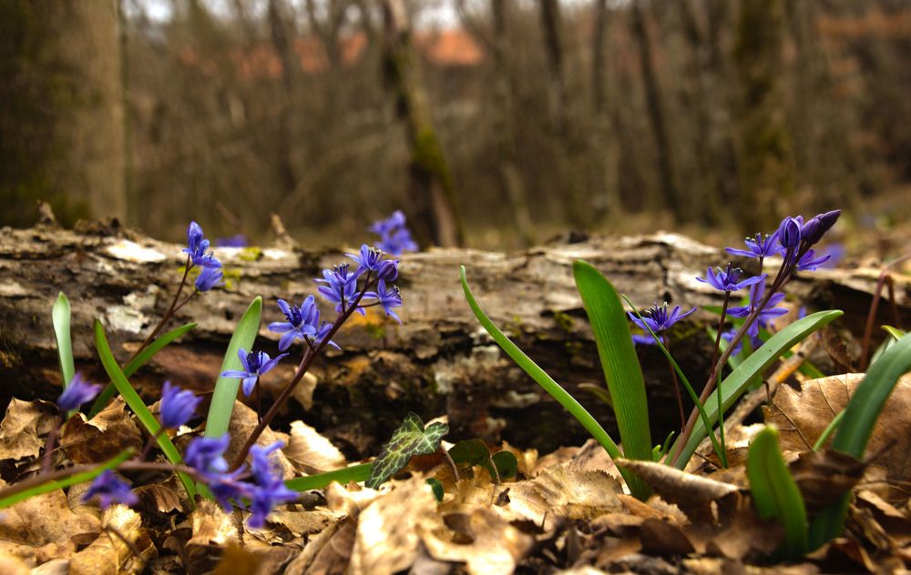 Photograph by Жанна Бодашко