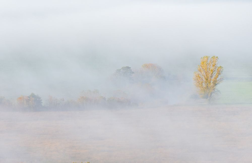 Photograph by Дмитрий Новоселов