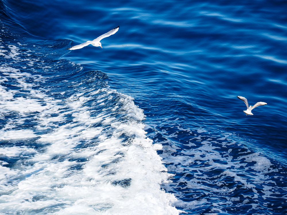 Photograph by Слави Котаров