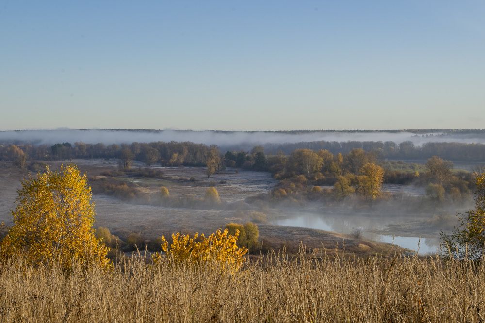 Фотография автора Галина Луценко