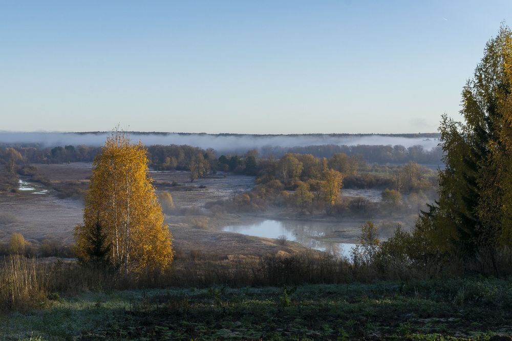 Фотография автора Галина Луценко