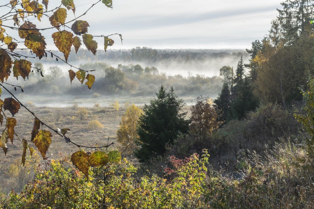 Фотография автора Галина Луценко