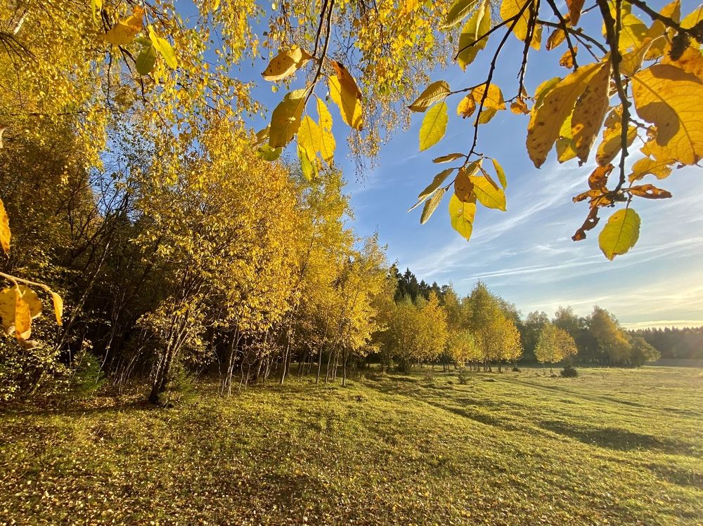 Фотография автора Евгения Иванова