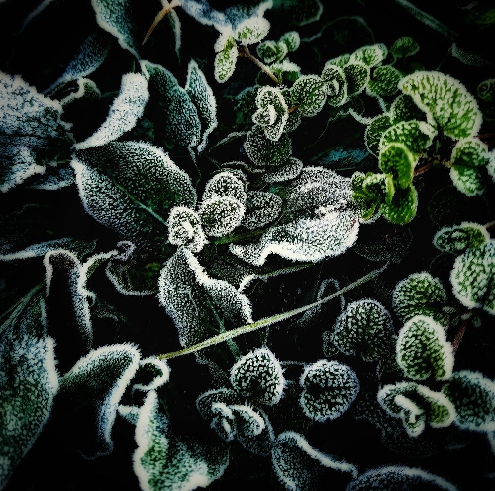 Photograph by Олеся Зеленщикова