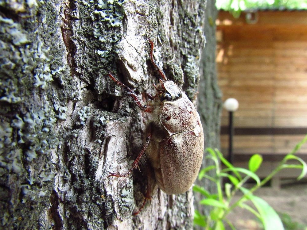 Photograph by Денис Веску