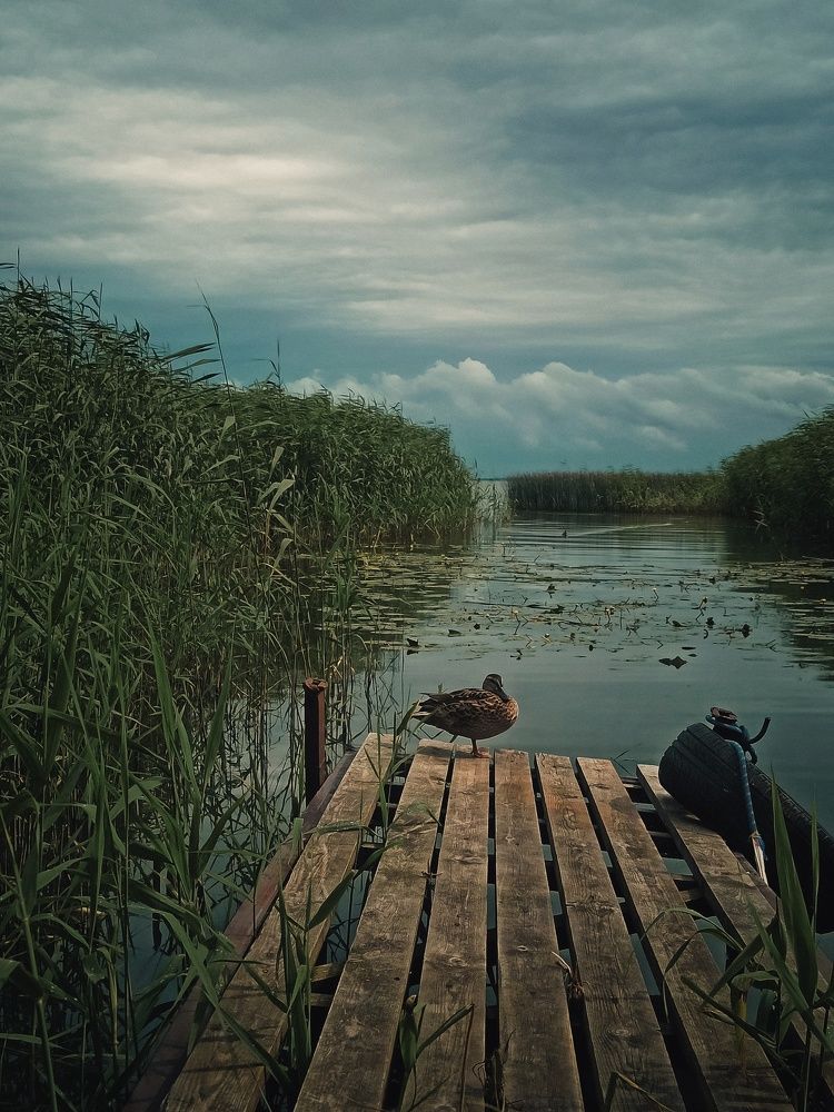 Photograph by Олеся Зеленщикова