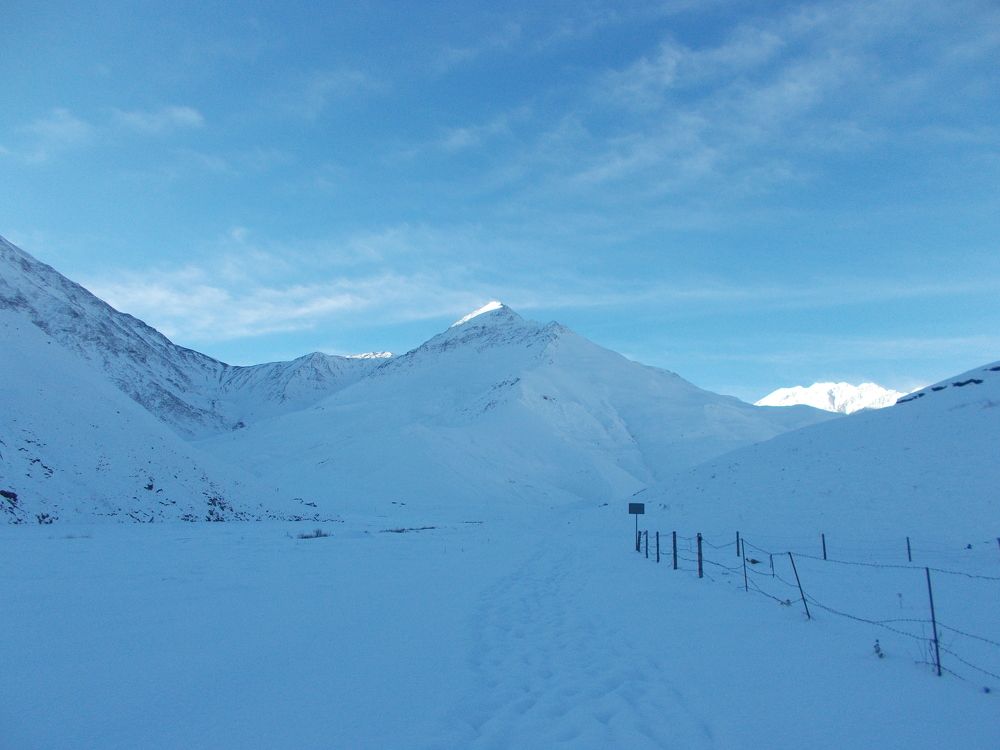 Photo #8176235