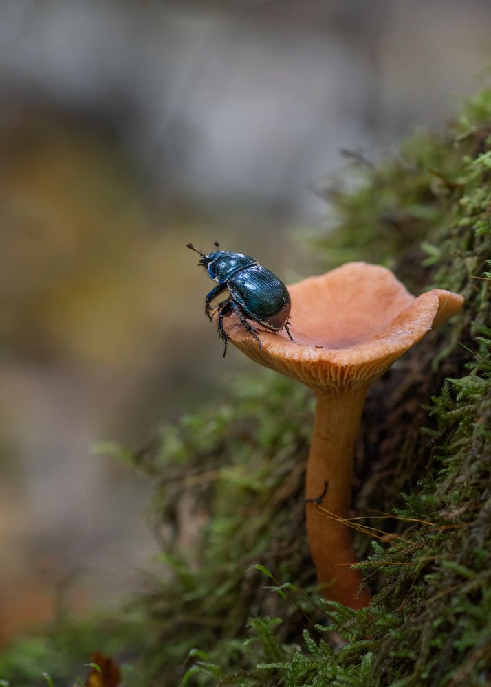 Photograph by LYUDMYLA POKRYSHEN