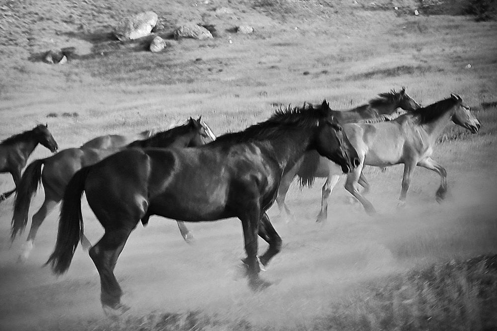 Photograph by Жигульский Сергей